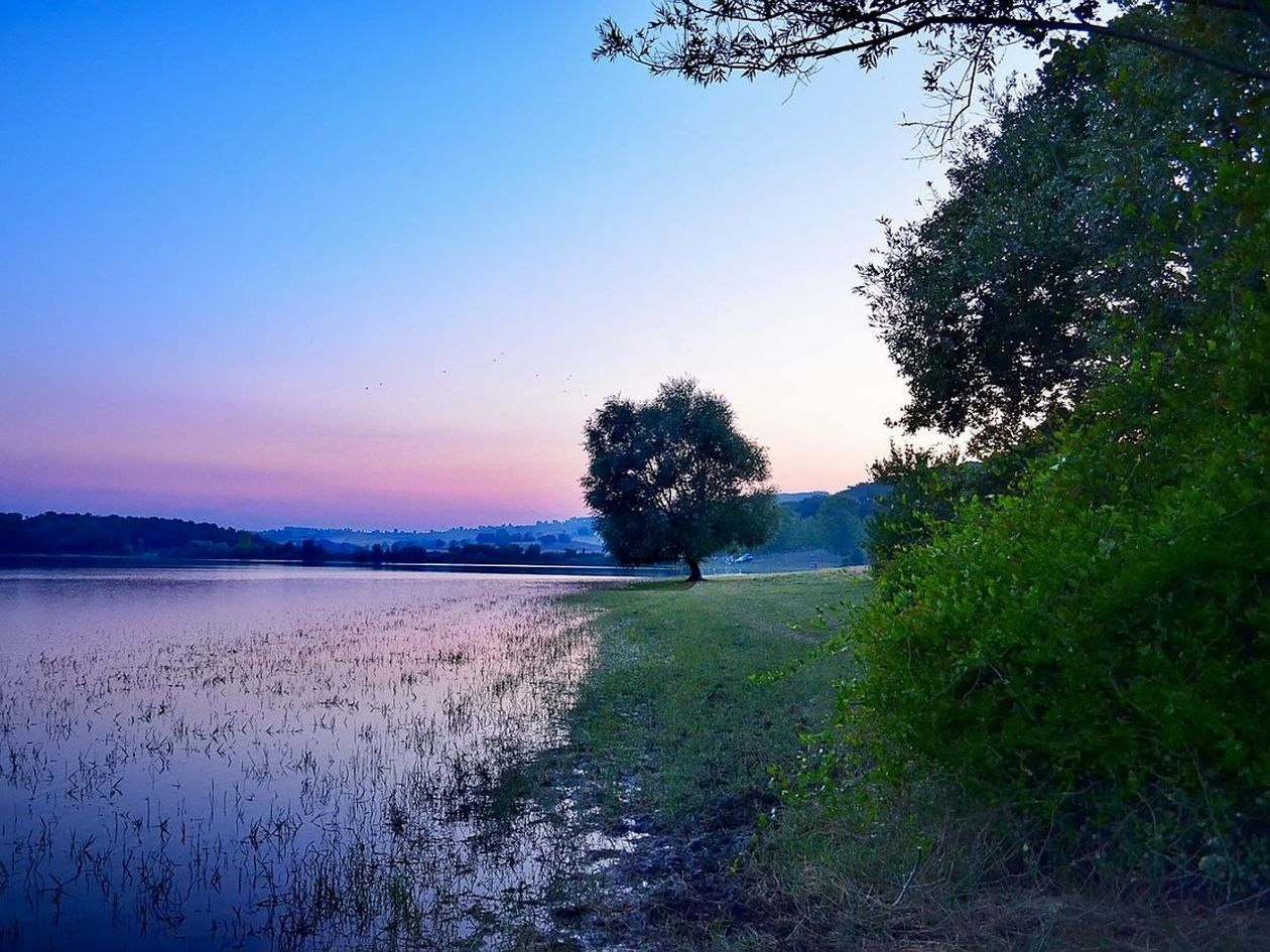 How freshwater lakes change bass behavior throughout the year and seasons