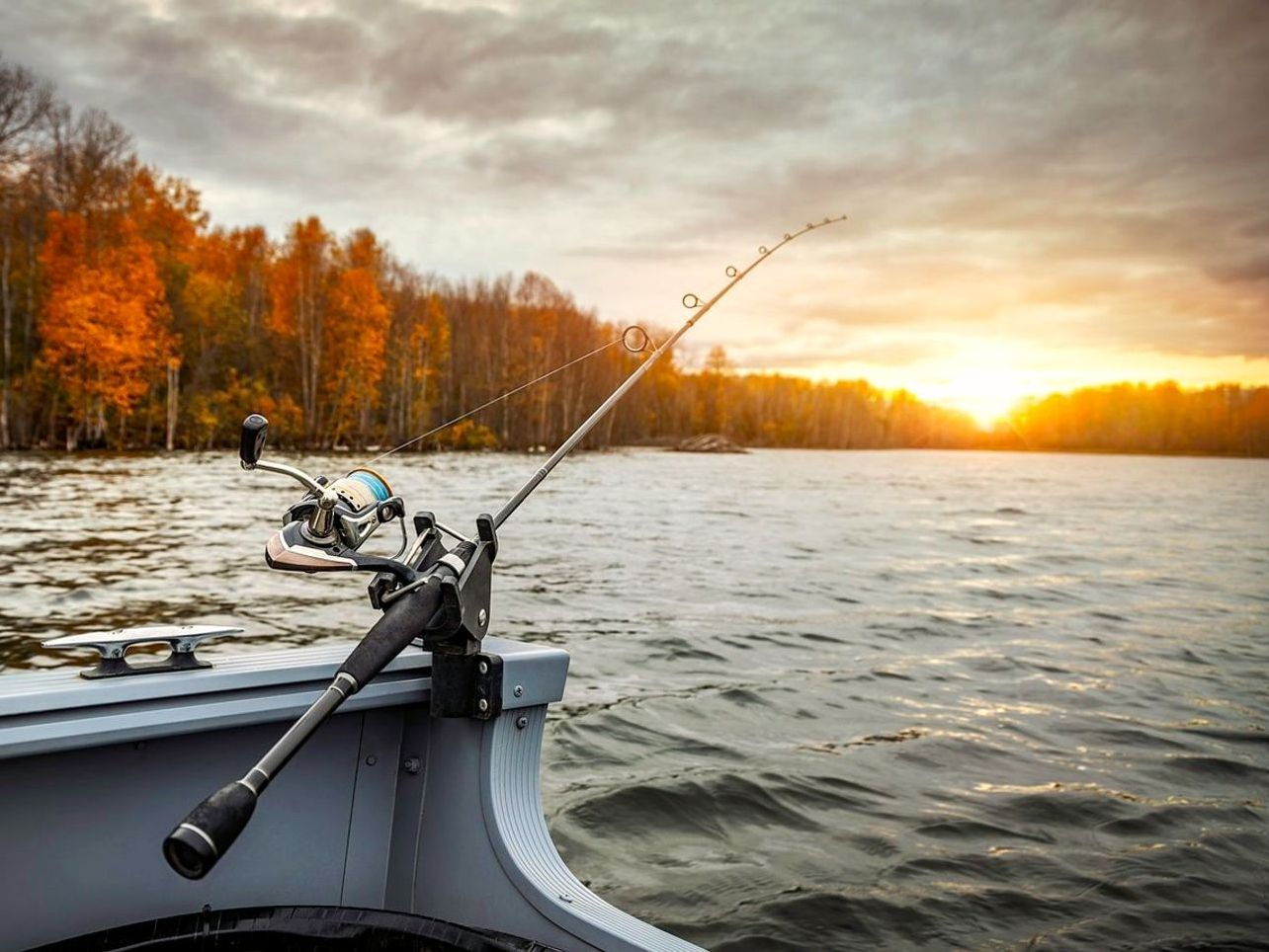 Where to Find Freshwater Fish